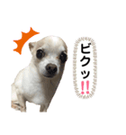 ふうのキモチ（個別スタンプ：18）