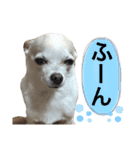 ふうのキモチ（個別スタンプ：19）