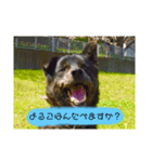 くろまるまるまる（個別スタンプ：6）