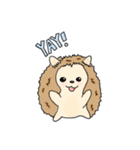 ハリネズミの日（個別スタンプ：2）