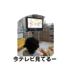 岳のお言葉（個別スタンプ：37）