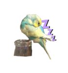 セキセイインコ飛鳥（個別スタンプ：4）