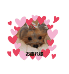 まろんここあ（個別スタンプ：2）