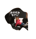 アヤまる（個別スタンプ：4）