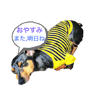 赤ちゃんと犬1（個別スタンプ：6）