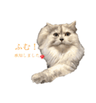 MUGI MUGI ②（個別スタンプ：8）