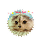 MUGI MUGI ②（個別スタンプ：11）