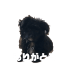 れんとジジ（個別スタンプ：4）
