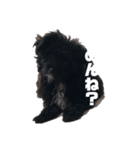 れんとジジ（個別スタンプ：6）