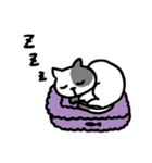黒白猫 おはぎのスタンプ（個別スタンプ：32）