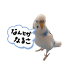 pi^chan 2（個別スタンプ：23）