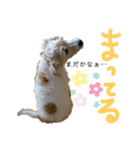 ジャックラッセルテリアのたまりちゃん（個別スタンプ：18）