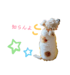 ジャックラッセルテリアのたまりちゃん（個別スタンプ：22）