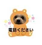 ヨーキーのきよひこです（個別スタンプ：7）