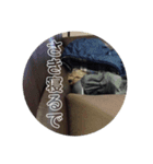 しる（個別スタンプ：3）
