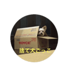 しる（個別スタンプ：4）