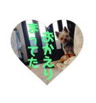 しる（個別スタンプ：5）