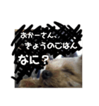 しる（個別スタンプ：6）