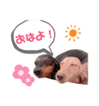 そまくんと愉快な仲間たち☆（個別スタンプ：1）