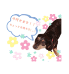 そまくんと愉快な仲間たち☆（個別スタンプ：15）