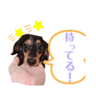 そまくんと愉快な仲間たち☆（個別スタンプ：16）