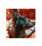 猫さんすたんぷ。（個別スタンプ：25）