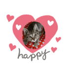 猫さんすたんぷ。（個別スタンプ：30）