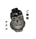 猫さんすたんぷ。（個別スタンプ：32）