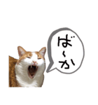 るーくんすたんぷ☆（個別スタンプ：1）