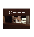 るーくんすたんぷ☆（個別スタンプ：3）