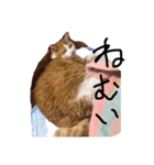 るーくんすたんぷ☆（個別スタンプ：7）