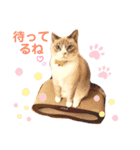 猫ミルクの日常スタンプ②（個別スタンプ：2）