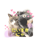 猫ミルクの日常スタンプ②（個別スタンプ：7）