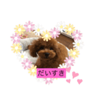 くるみのスタンプ♫（個別スタンプ：3）