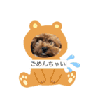 くるみのスタンプ♫（個別スタンプ：8）