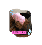くるみのスタンプ♫（個別スタンプ：11）