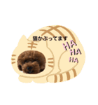 くるみのスタンプ♫（個別スタンプ：12）