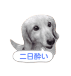 ちょろのお酒日和（個別スタンプ：2）