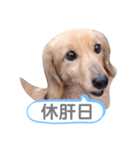 ちょろのお酒日和（個別スタンプ：6）
