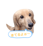 ちょろのお酒日和（個別スタンプ：7）