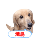 ちょろのお酒日和（個別スタンプ：9）