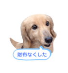 ちょろのお酒日和（個別スタンプ：11）