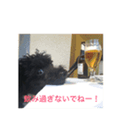 黒プードルの吉右衛門でごじゃるよー（個別スタンプ：4）