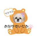 小太郎のあいさつ2❤︎"（個別スタンプ：7）
