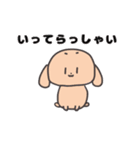たれみみうさぎさん(日常)（個別スタンプ：3）