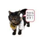familyのmartin（個別スタンプ：6）