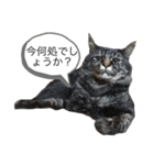 familyのmartin（個別スタンプ：7）