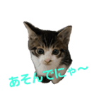 お嬢とぼっちゃん。（個別スタンプ：1）