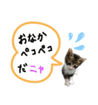 お嬢とぼっちゃん。（個別スタンプ：3）