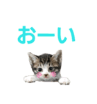お嬢とぼっちゃん。（個別スタンプ：4）